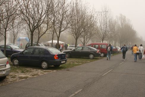 velencei_to_kor_futas_7984.jpg