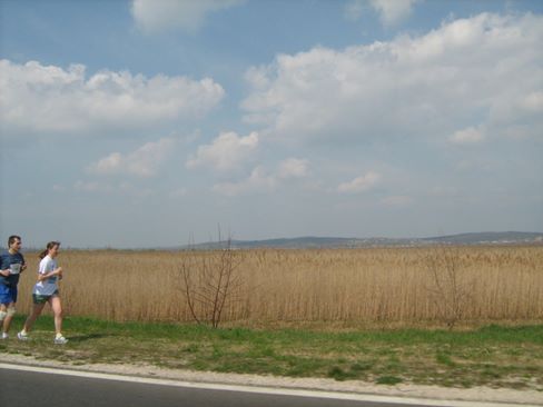 velencei_to_futas_336.jpg