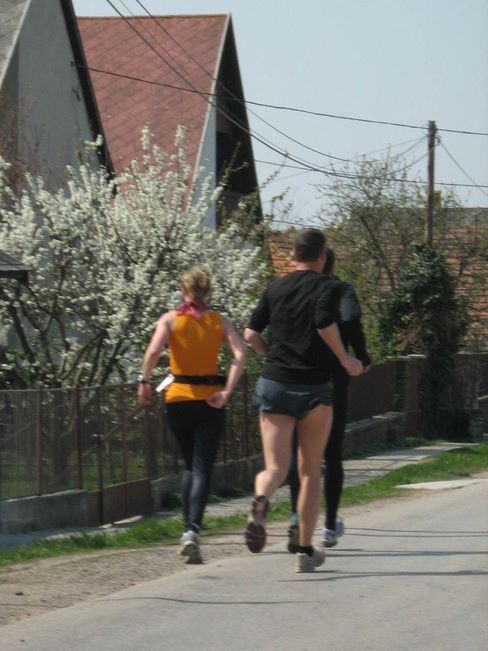 velencei_to_futas_254.jpg