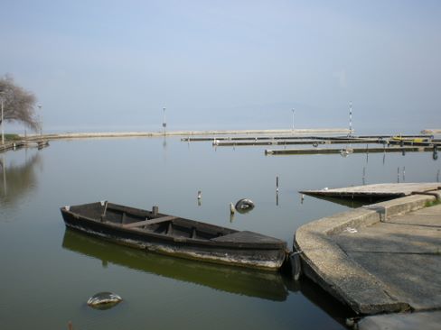 velencei_to_kor_futas_0333.jpg