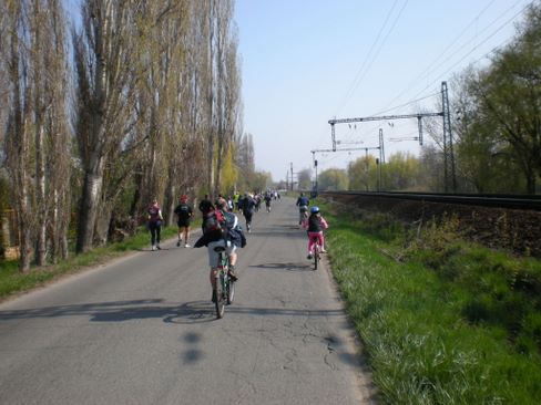 velencei_to_kor_futas_0343.jpg
