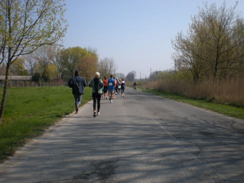 velencei_to_kor_futas_0357.jpg