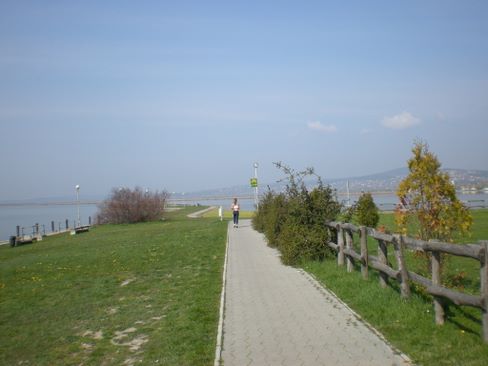 velencei_to_kor_futas_0368.jpg