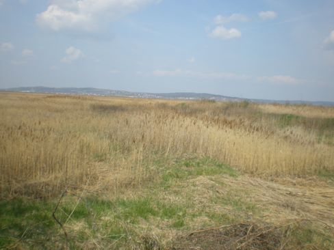 velencei_to_kor_futas_0442.jpg