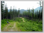 Veitsch - Ultra Alpin Marathon