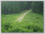 Veitsch - Ultra Alpin Marathon