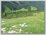 Veitsch - Ultra Alpin Marathon