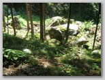 Veitsch - Ultra Alpin Marathon