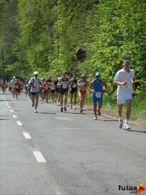 normafa_hegyi_felmaraton_2012.jpg
