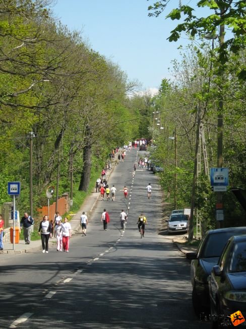 normafa_hegyi_felmaraton_2022.jpg