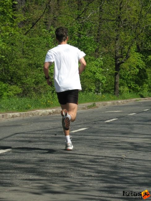 normafa_hegyi_felmaraton_2028.jpg