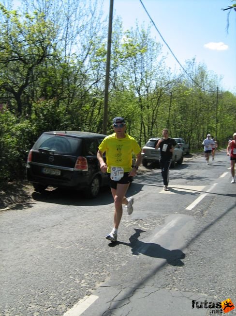 normafa_hegyi_felmaraton_2036.jpg