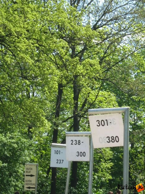 normafa_hegyi_felmaraton_2051.jpg