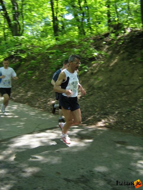 normafa_hegyi_felmaraton_2070.jpg