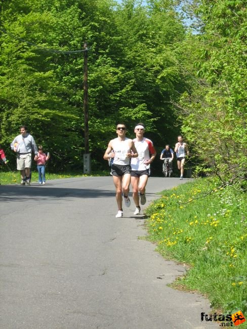normafa_hegyi_felmaraton_2095.jpg