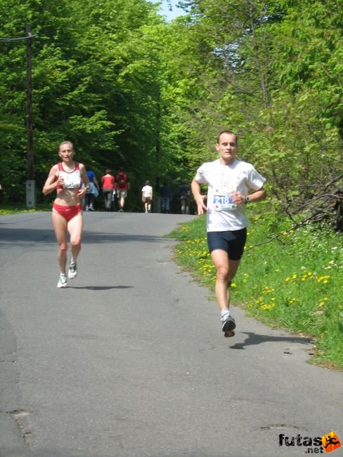 normafa_hegyi_felmaraton_2100.jpg