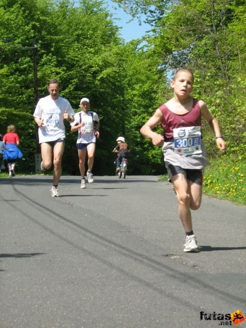 normafa_hegyi_felmaraton_2102.jpg