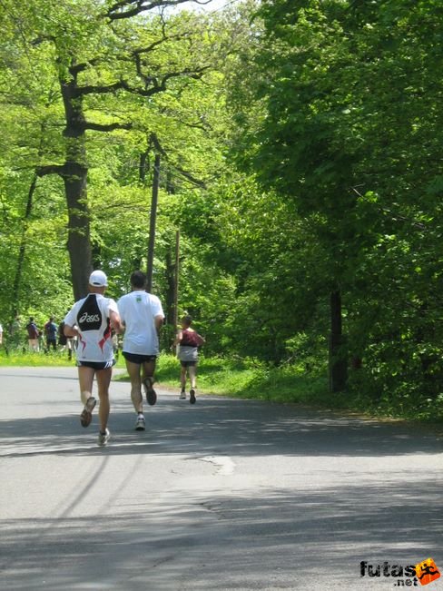 normafa_hegyi_felmaraton_2104.jpg