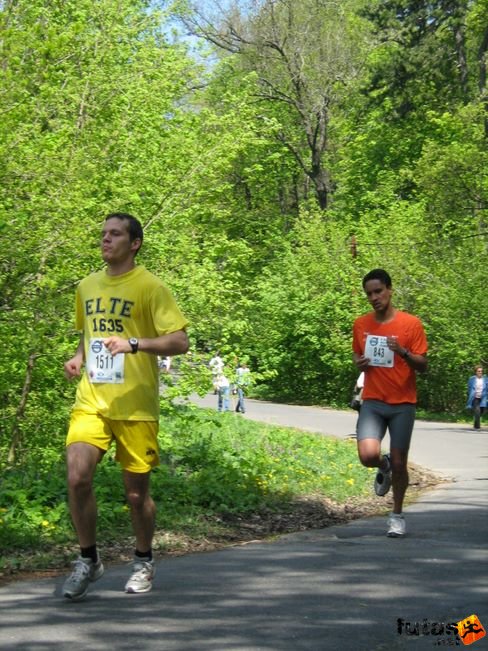 normafa_hegyi_felmaraton_2147.jpg