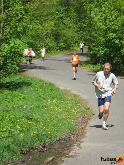 normafa_hegyi_felmaraton_2151.jpg