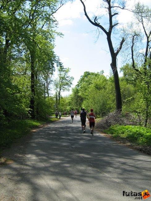 normafa_hegyi_felmaraton_2155.jpg
