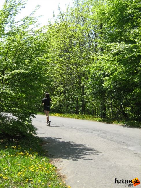 normafa_hegyi_felmaraton_2160.jpg