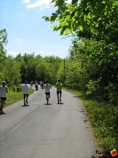 normafa_hegyi_felmaraton_2162.jpg