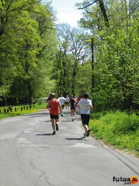 normafa_hegyi_felmaraton_2168.jpg