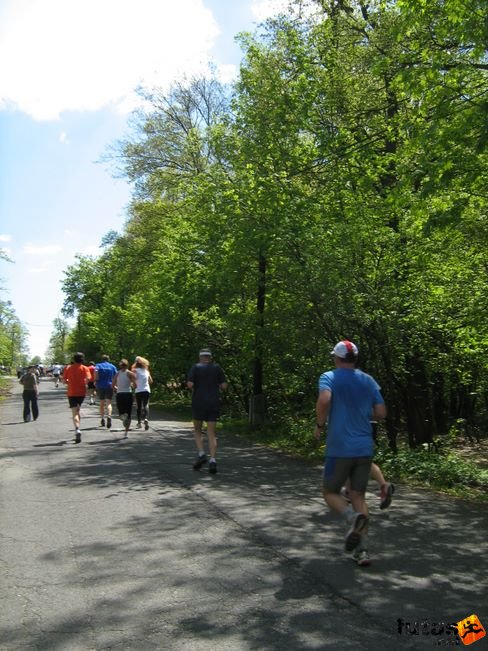 normafa_hegyi_felmaraton_2172.jpg
