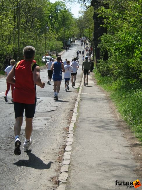 normafa_hegyi_felmaraton_2174.jpg