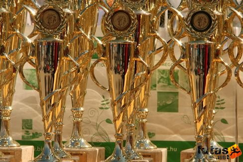 Vásárhelyi Félmaraton Futóverseny Kecskemét 7837.jpg