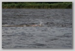 triatlon