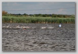 triatlon úszás