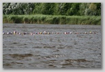 Fadd-Dombori triatlon