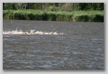 Fadd-Dombori triatlon