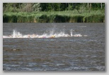 Fadd-Dombori triatlon