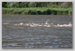 Fadd-Dombori triatlon