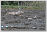 Fadd-Dombori triatlon