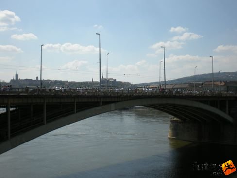 vivicitta_470.jpg