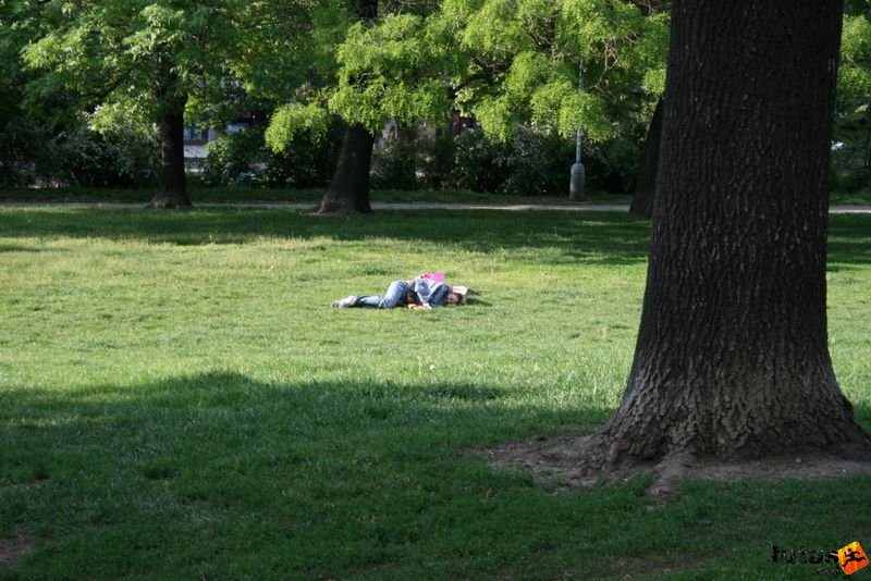 Prague Marathon Running prague_633.jpg sleep in a park in Prague