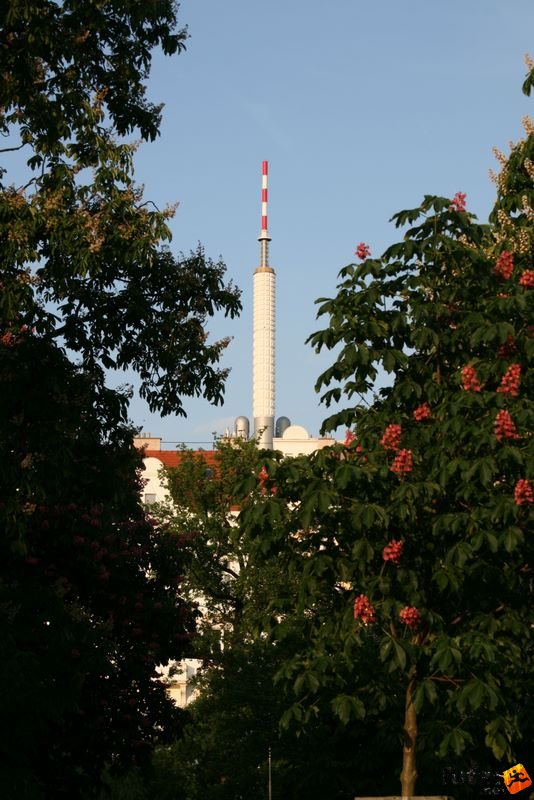 Prága Maraton futás prague_684.jpg TV Tower in Prague