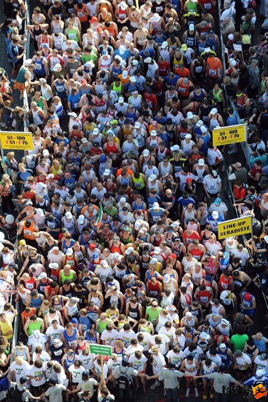Prága Maraton prague_marathon_031.jpg Prague Marathon runners - official photo by Praha Internation Marathon Prága Maraton futás prague_marathon_031.jpg Prague Marathon runners - official photo by Praha Internation Marathon