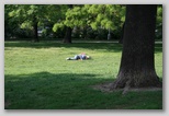 Prague Marathon Running sleep in a park in Prague