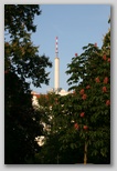 Prague Marathon Running TV Tower in Prague