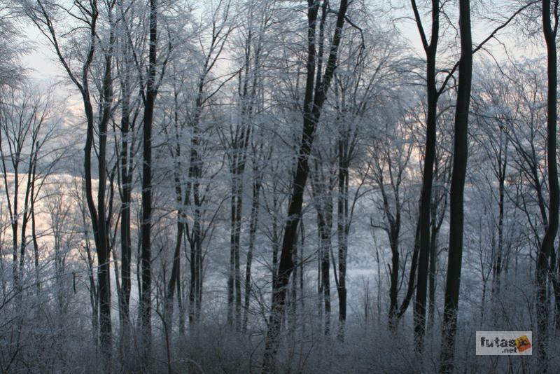 Rám-Szakadék, Dobogókő, Rám-hegy, Rám-szakadék túra, rám szakadék 3616