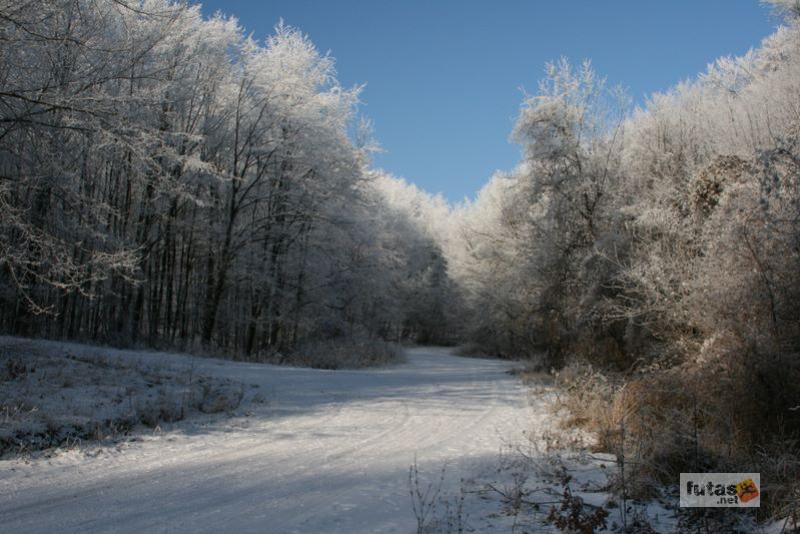Dobogókő, Rám-hegy, Rám-szakadék túra,ram_szakadek_3679.jpg