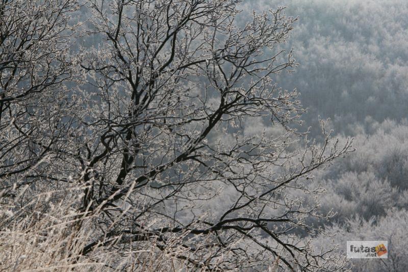 Dobogókő, Rám-hegy, Rám-szakadék túra,ram_szakadek_3751.jpg