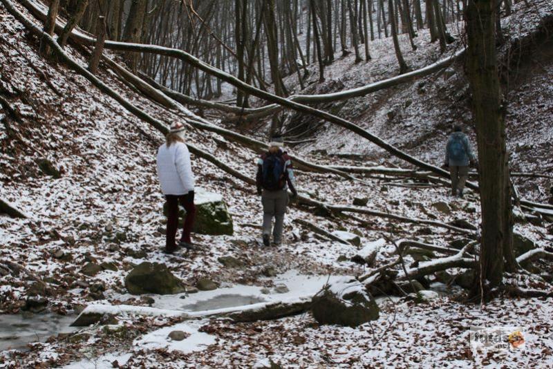 Dobogókő, Rám-hegy, Rám-szakadék túra,ram_szakadek_3837.jpg