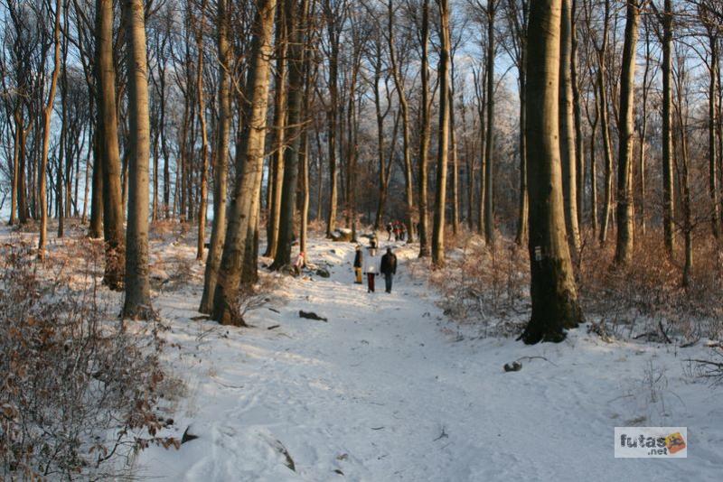 Dobogókő, Rám-hegy, Rám-szakadék túra,ram_szakadek_3960.jpg