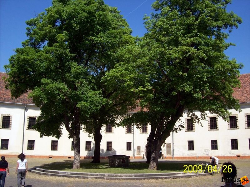 Sárvár futóverseny 237.jpg 237.jpg